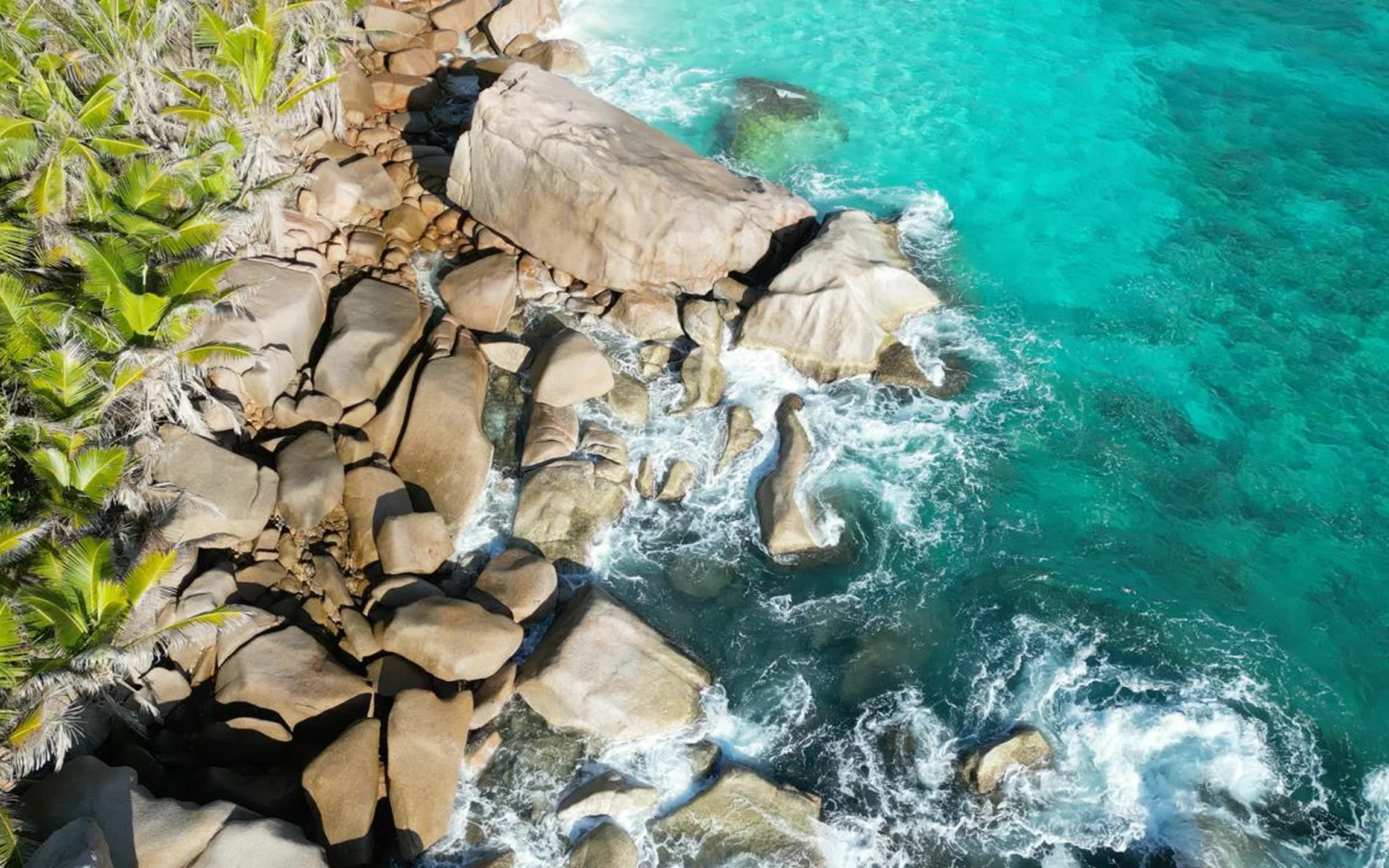Гранитный берег, пальмы и бирюзовая вода с высоты